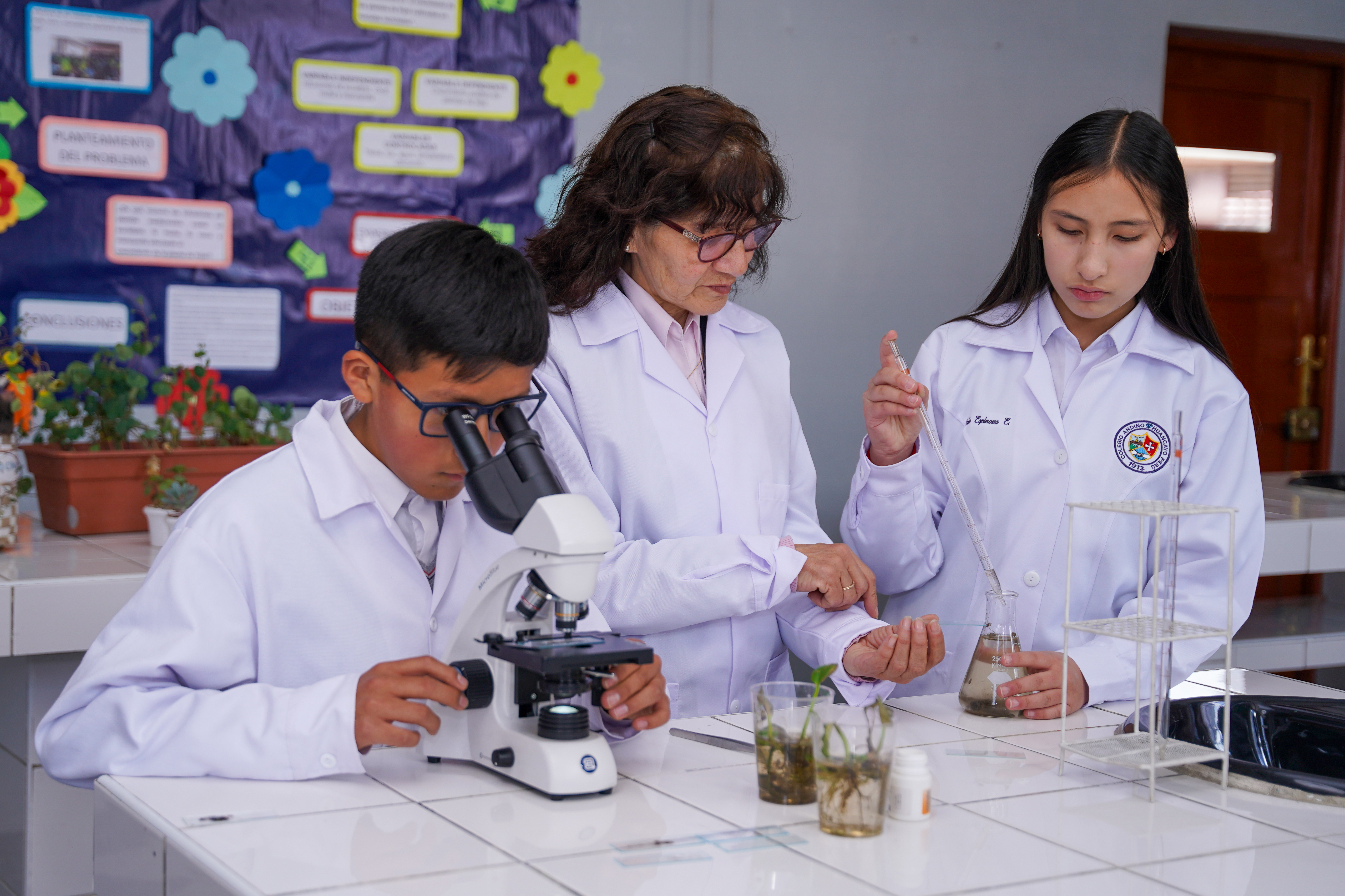 Galería Colegio Andino