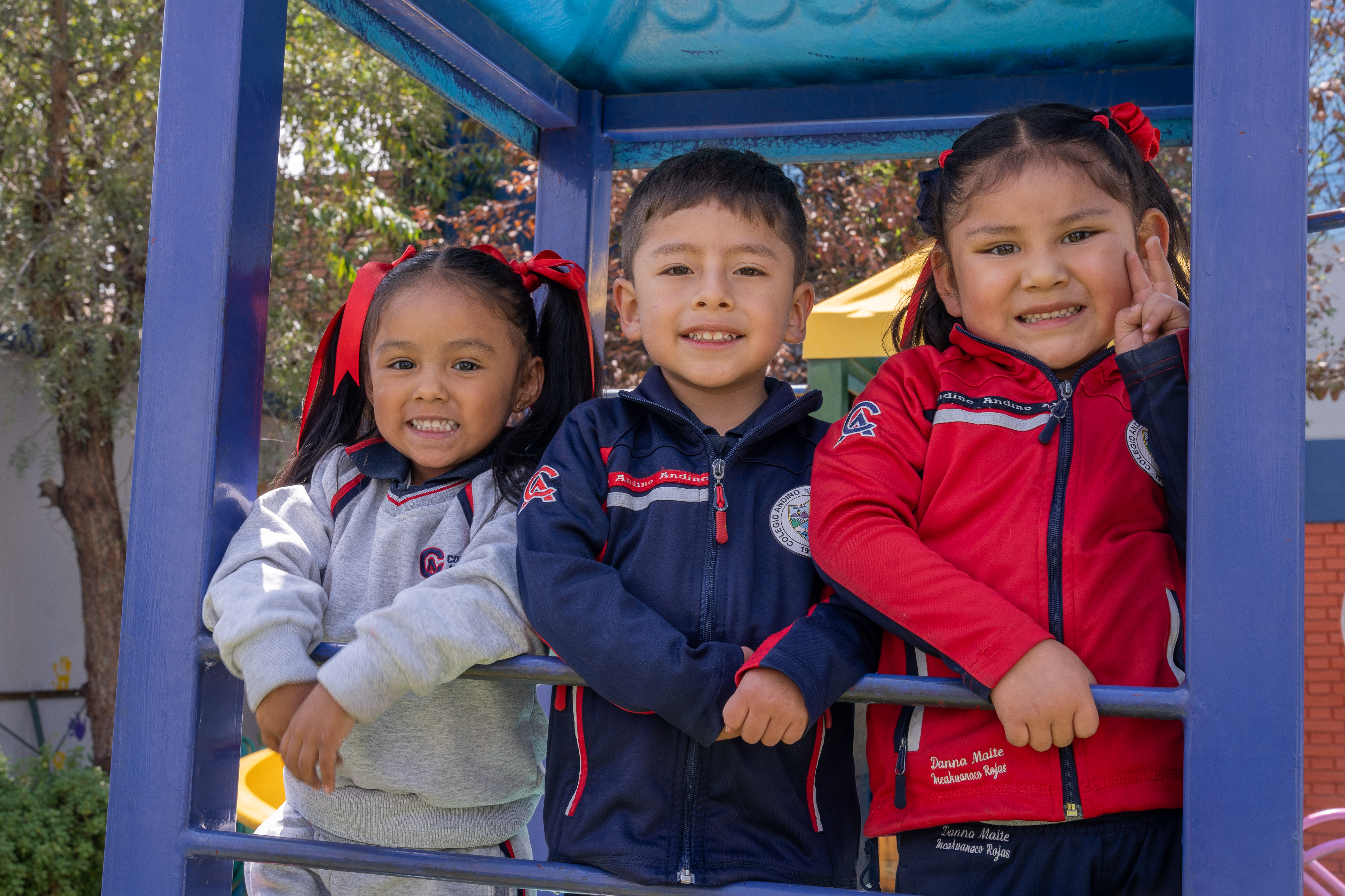 Galería Colegio Andino