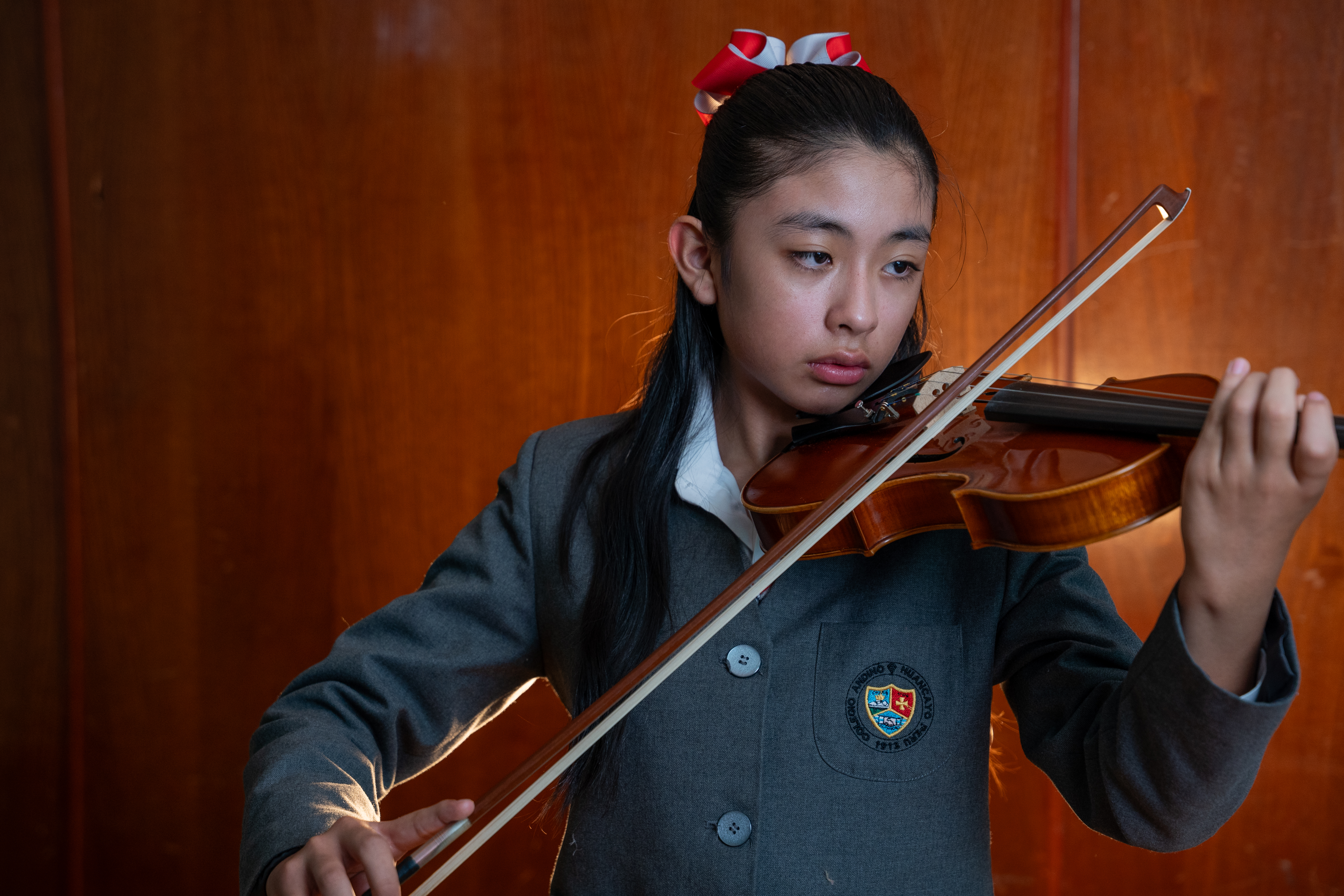 Galería Colegio Andino