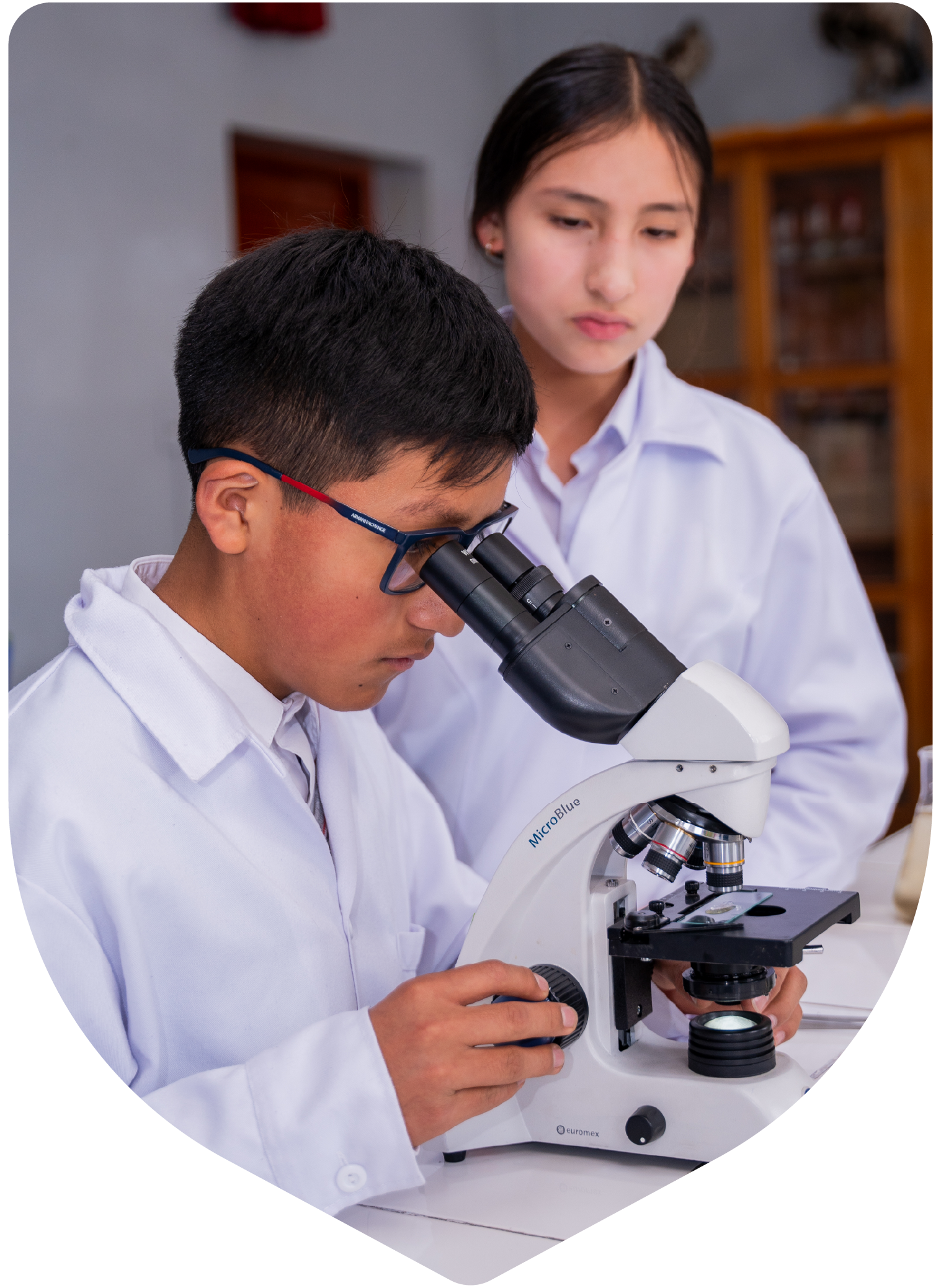 II Nivel - Educación Primaria